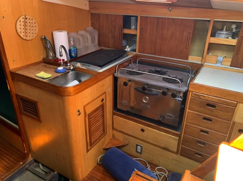 Slide: The Image of Swan 43 1969 - 6006385