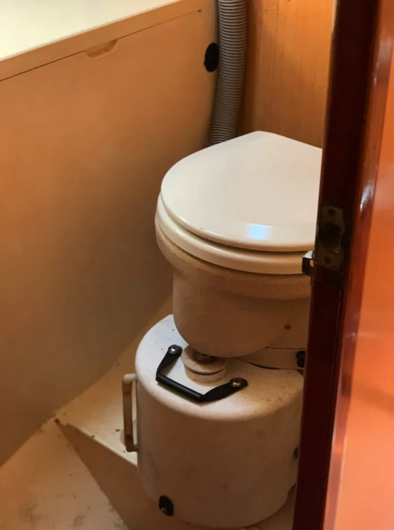 Slide: The Image of Swan 43 1969 - 6006375