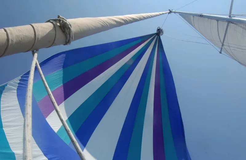 Slide: The Image of Swan 43 1969 - 6006377