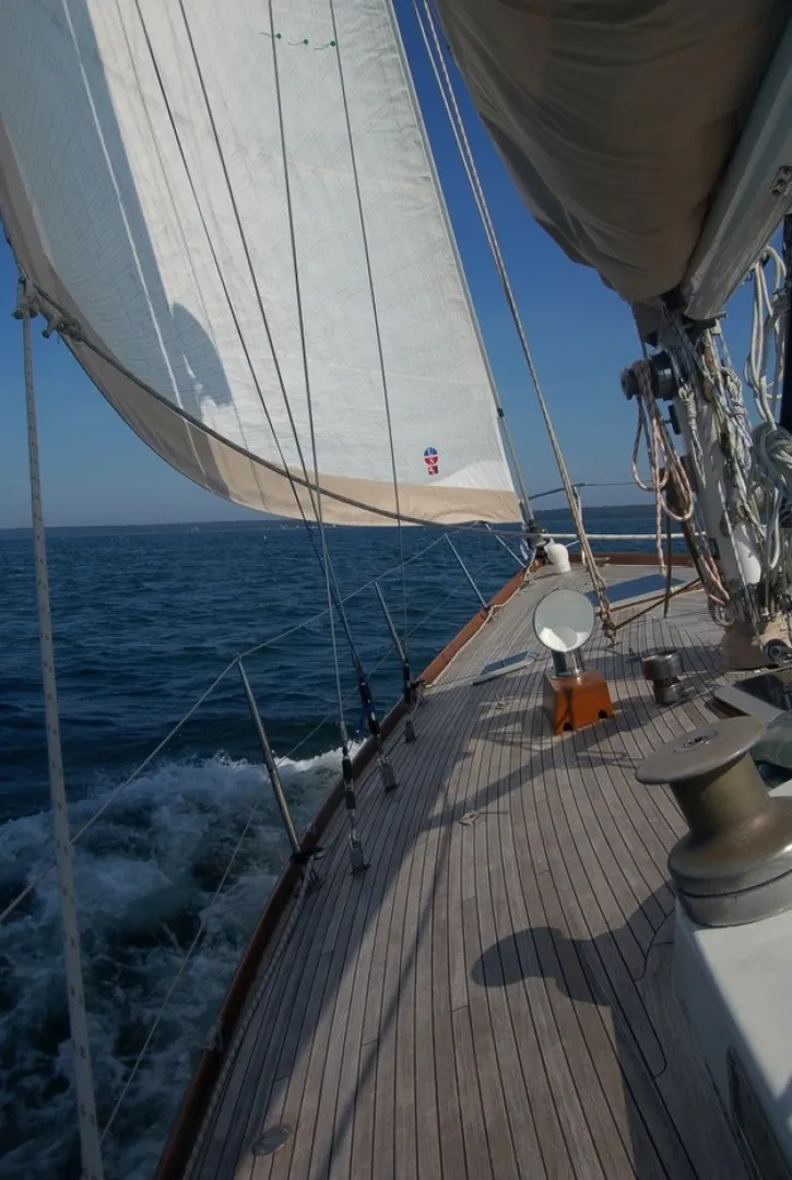 Slide: The Image of Swan 43 1969 - 6006362