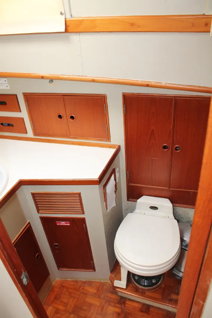 Slide: The Image of Guest Head - 6006647