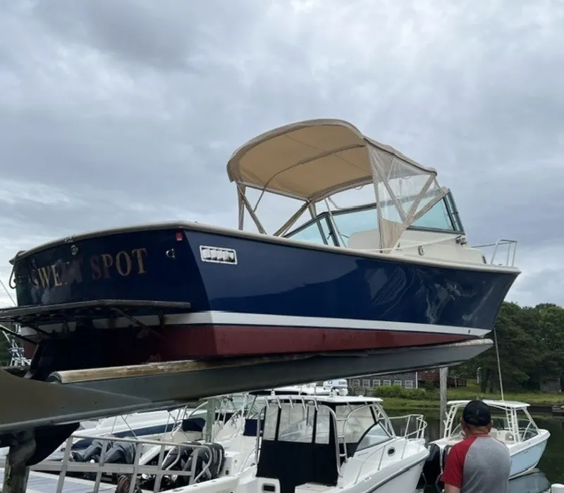 Slide: The Image of Holby Pilot 24 2005 - 6006912