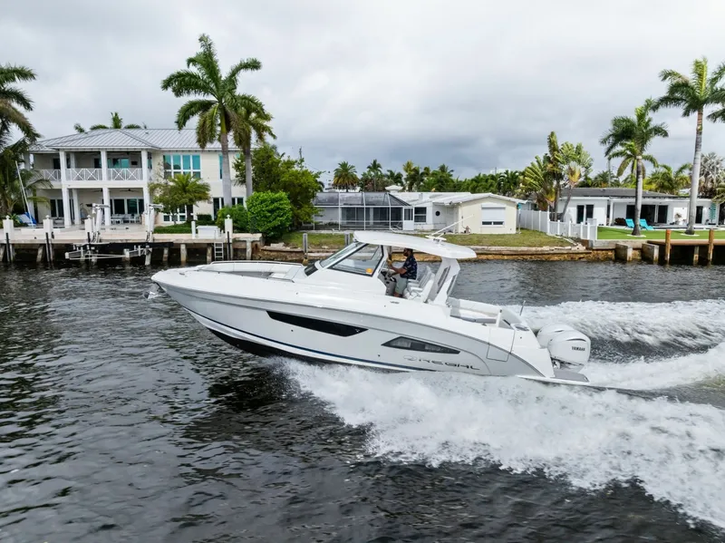 Slide: The Image of Regal 33 SAV 2022 - 6047953