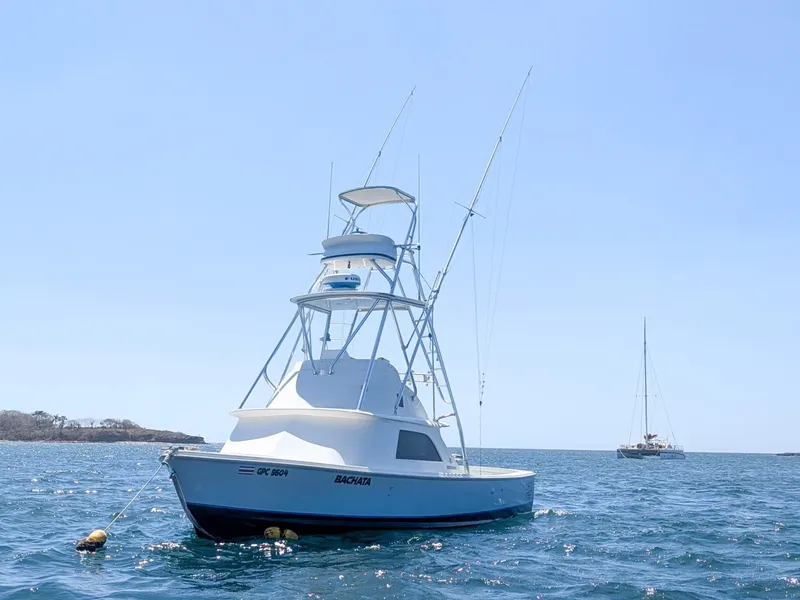 The Image of Bertram Sportfisher 1973 - 6009408