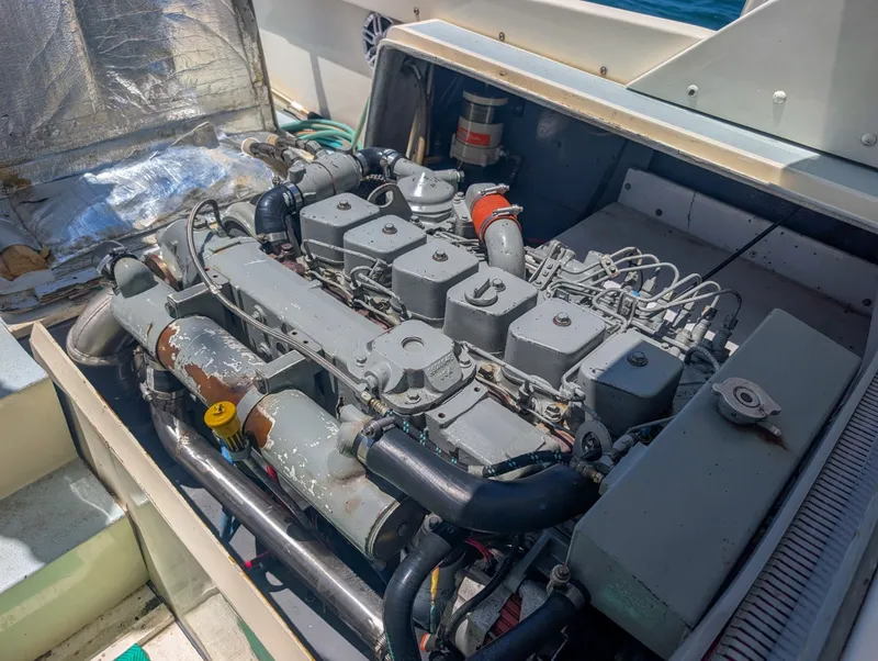 Slide: The Image of Bertram Sportfisher 1973 - 6009435