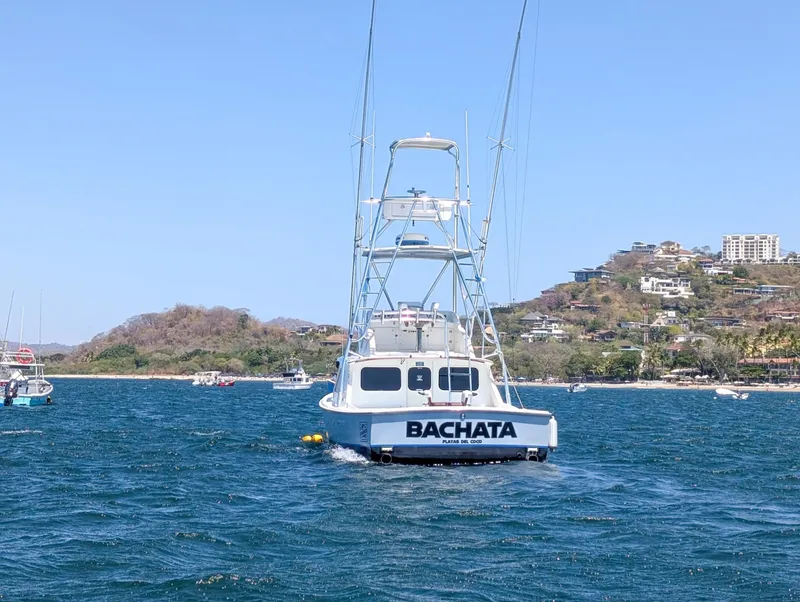 Slide: The Image of Bertram Sportfisher 1973 - 6009413