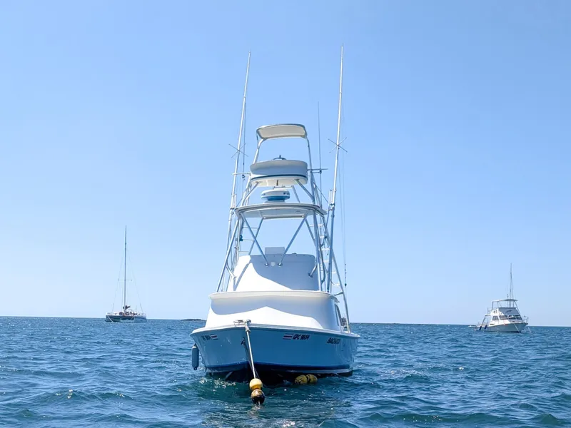 Slide: The Image of Bertram Sportfisher 1973 - 6009415