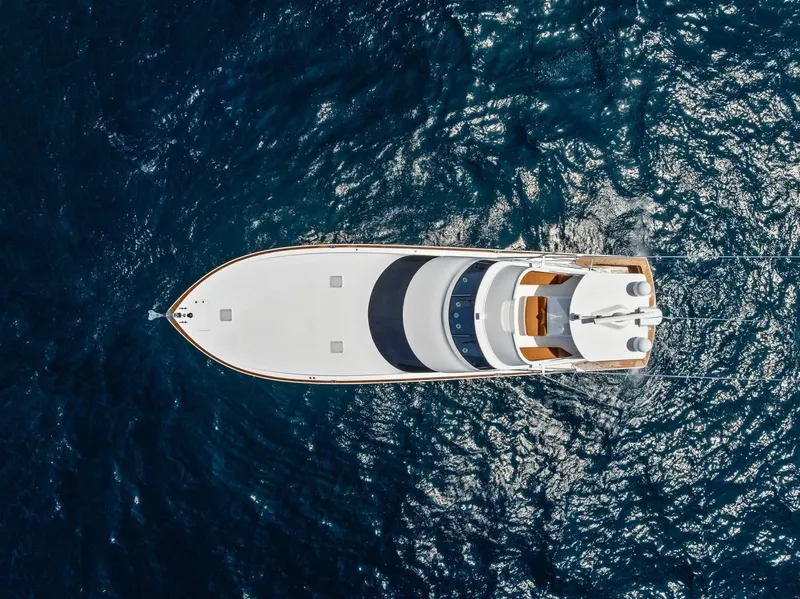 Slide: The Image of 2008 Viking 68 Skybridge "Liquid Apple" - 6050757