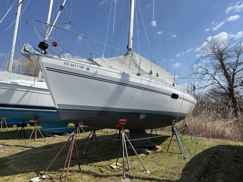 The Image of Catalina 315 2019 - undefined