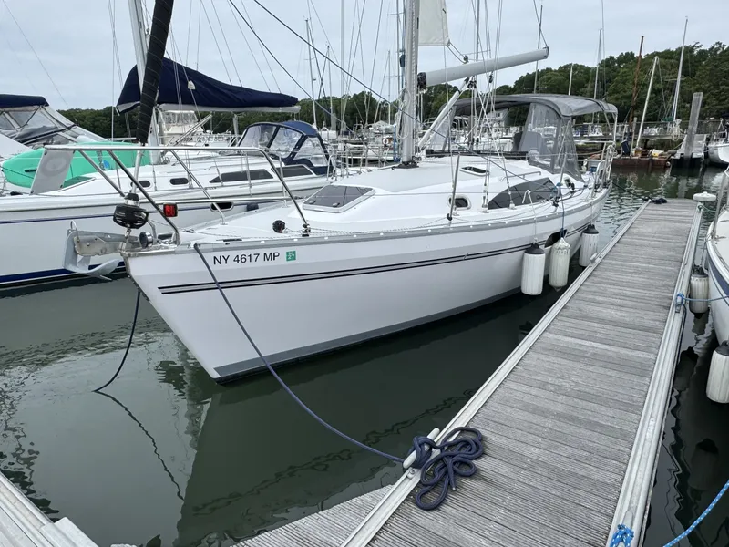 The Image of Catalina 315 2019 - 6767544