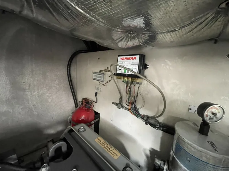 Slide: The Image of Luhrs 31 Open 2007 - 6012616