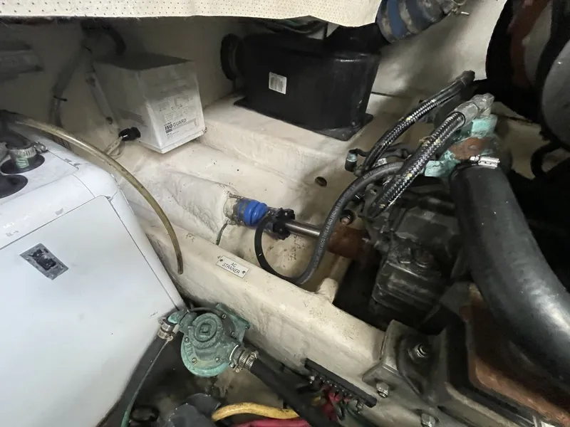 Slide: The Image of Luhrs 31 Open 2007 - 6012618