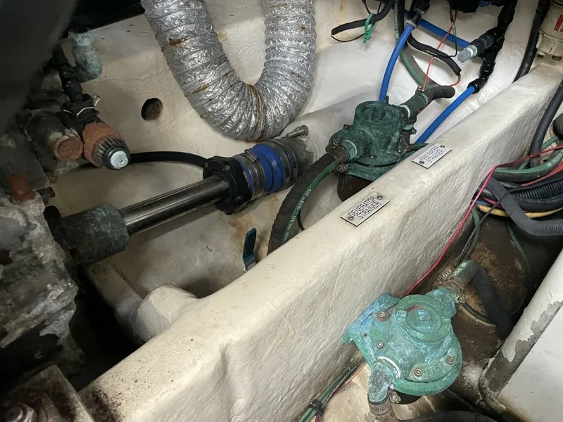 Slide: The Image of Luhrs 31 Open 2007 - 6012619