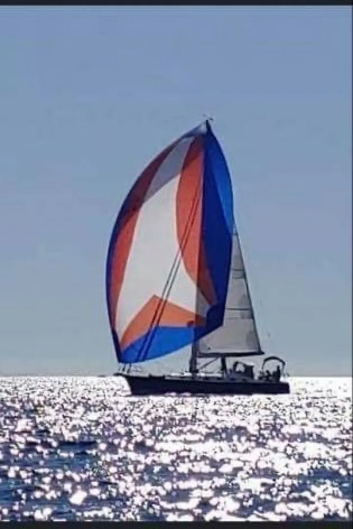 The Image of Tartan 40 2016 - 6013510