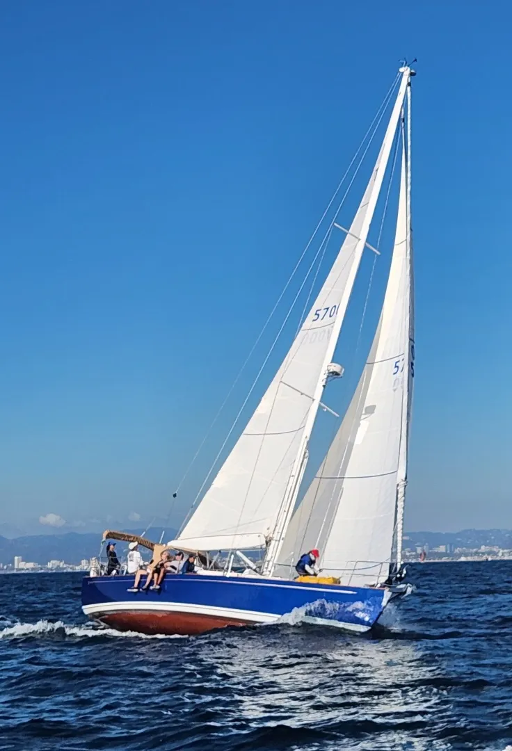 Slide: The Image of Tartan 40 2016 - 6013512