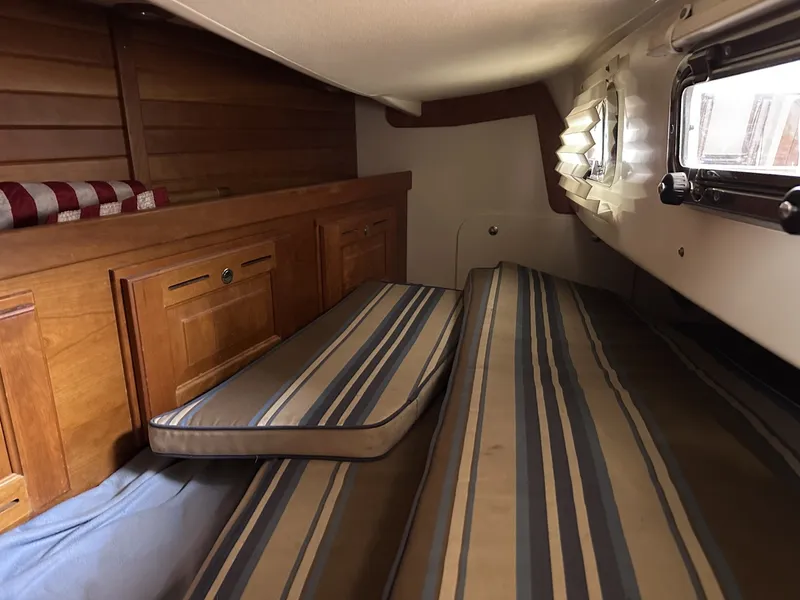 Slide: The Image of Tartan 40 2016 - 6013544