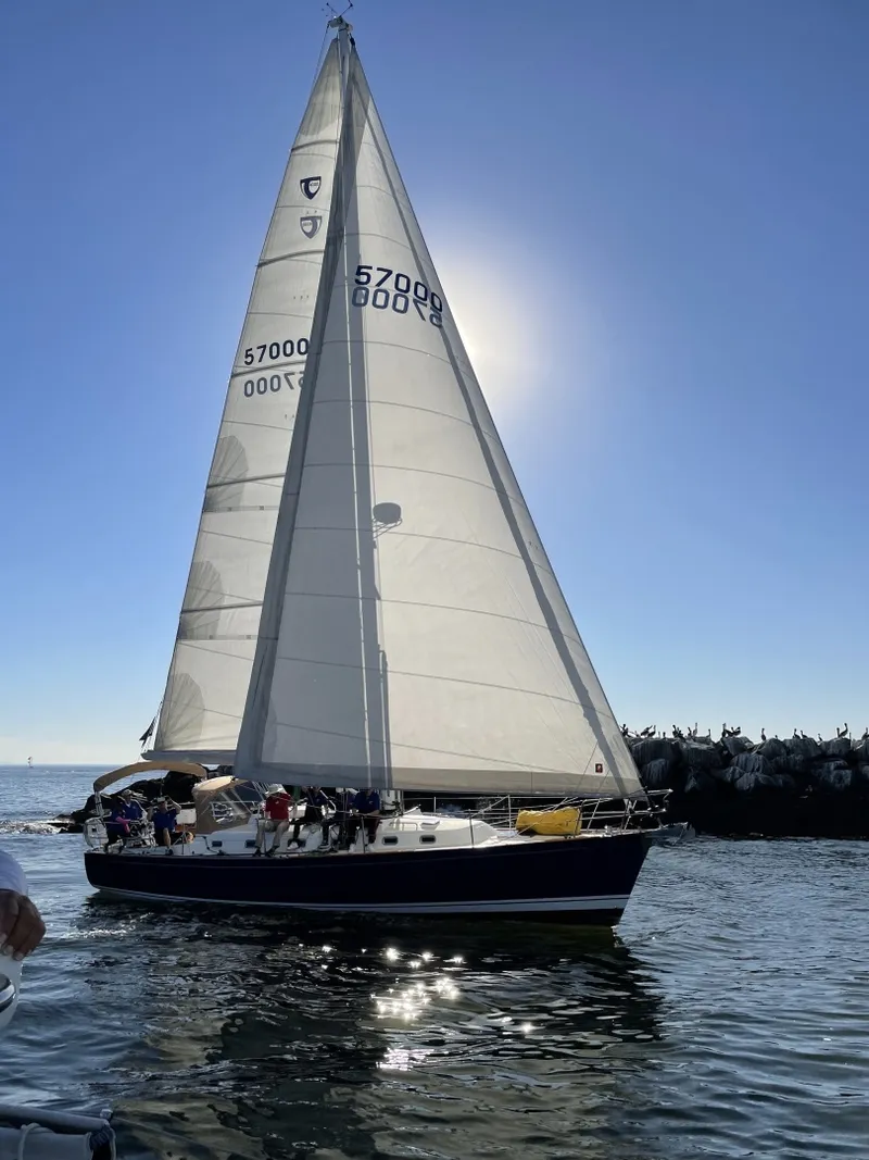 The Image of Tartan 4000 2016 - 6013513