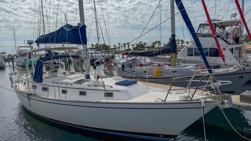 Slide: The Image of Pearson 385 1984 - 6027716