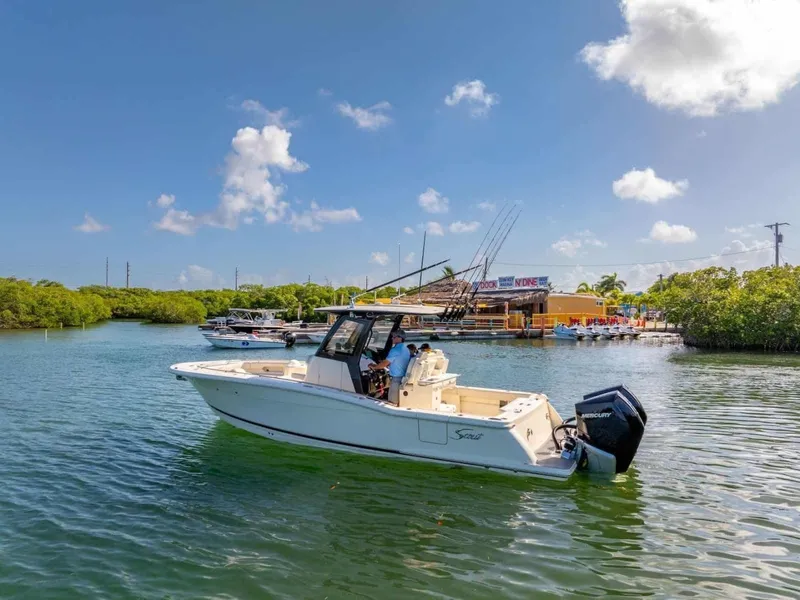 Slide: The Image of Scout 288 LXF 2026 - 6015294