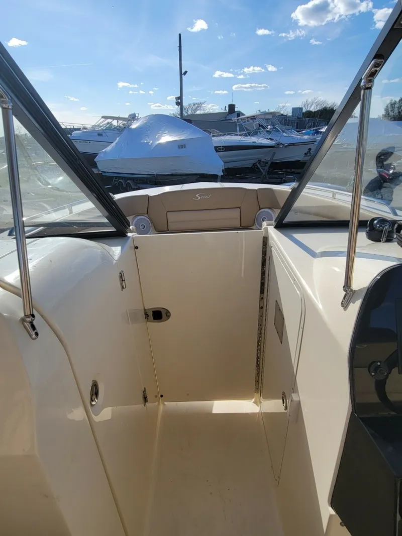 Slide: The Image of Scout 255 Dorado 2020 - 6018512