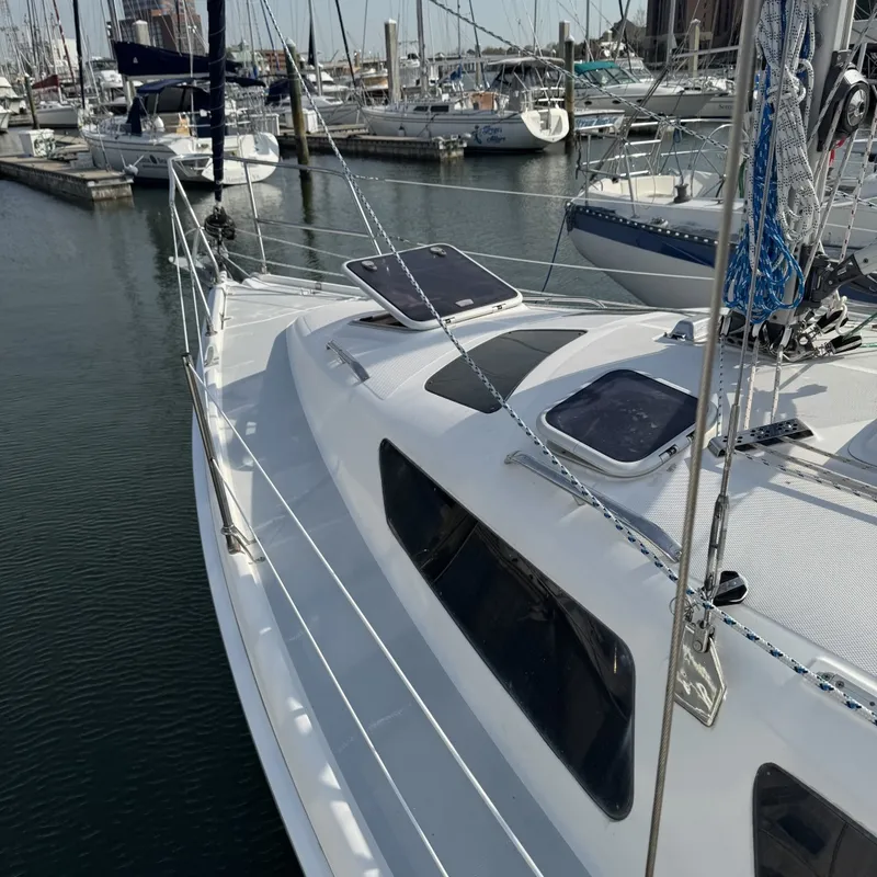 Slide: The Image of Portside Bow - 6027441