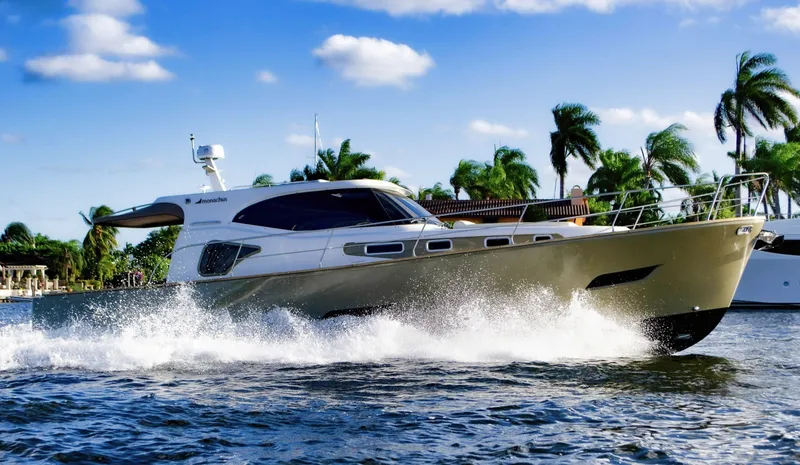 The Image of Monachus Issa 45 Issa 2019 - undefined