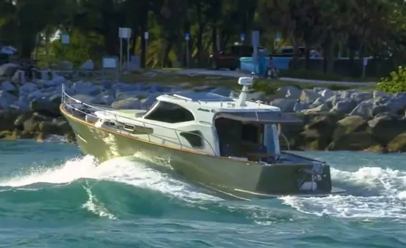 Slide: The Image of Monachus Issa 45 Issa 2019 - 6016809