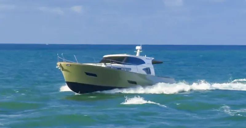 Slide: The Image of Monachus Issa 45 Issa 2019 - 6016810