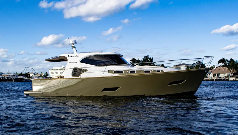 Slide: The Image of Monachus Issa 45 Issa 2019 - 6016811