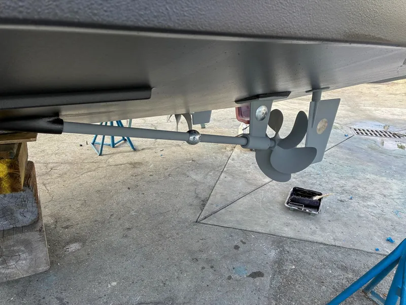 Slide: The Image of Monachus Issa 45 Issa 2019 - 6016819