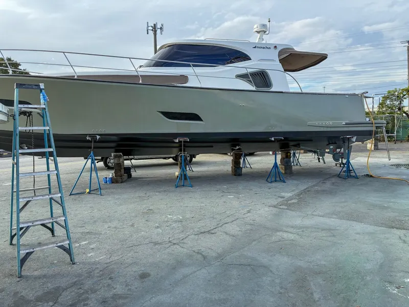 Slide: The Image of Monachus Issa 45 Issa 2019 - 6016821