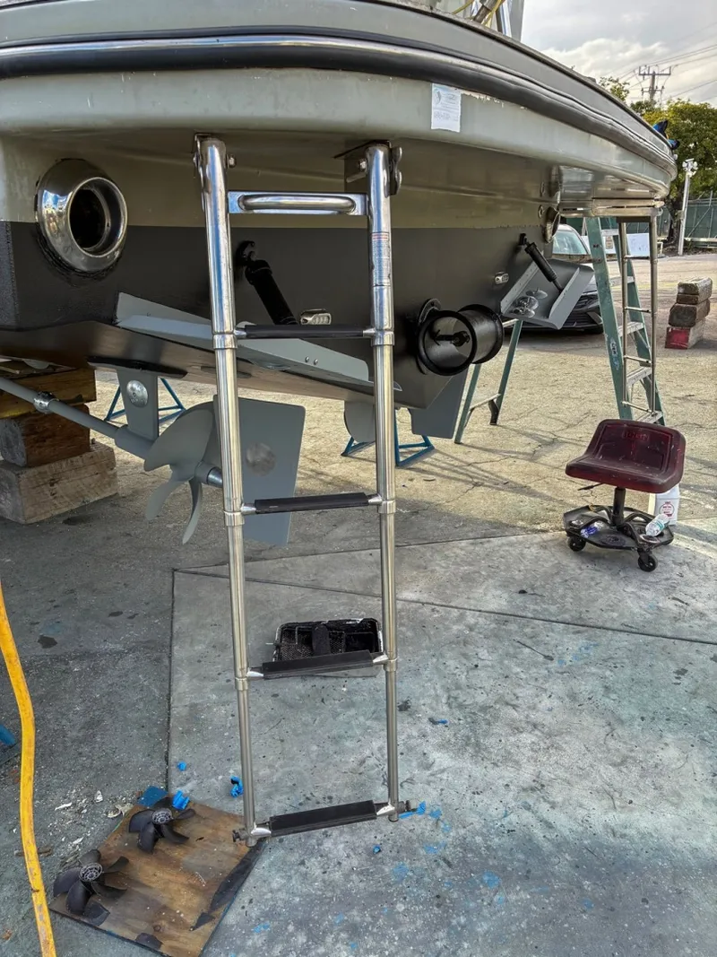 Slide: The Image of Monachus Issa 45 Issa 2019 - 6016822