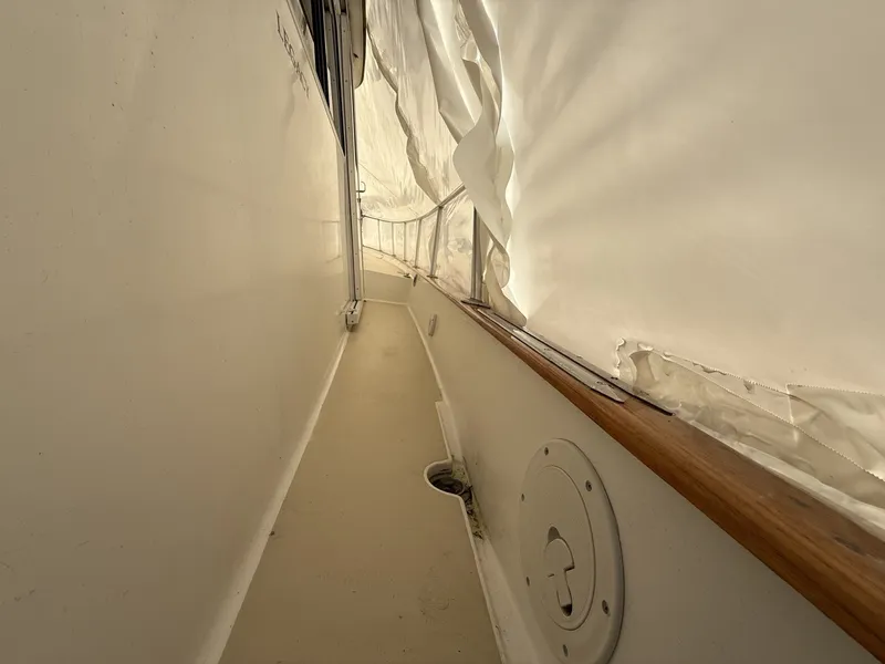 Slide: The Image of Legacy 40 1996 - 6029992