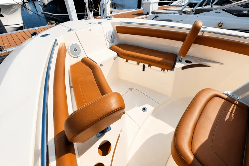 Slide: The Image of Scout 255 LXF 2020 - 6564174