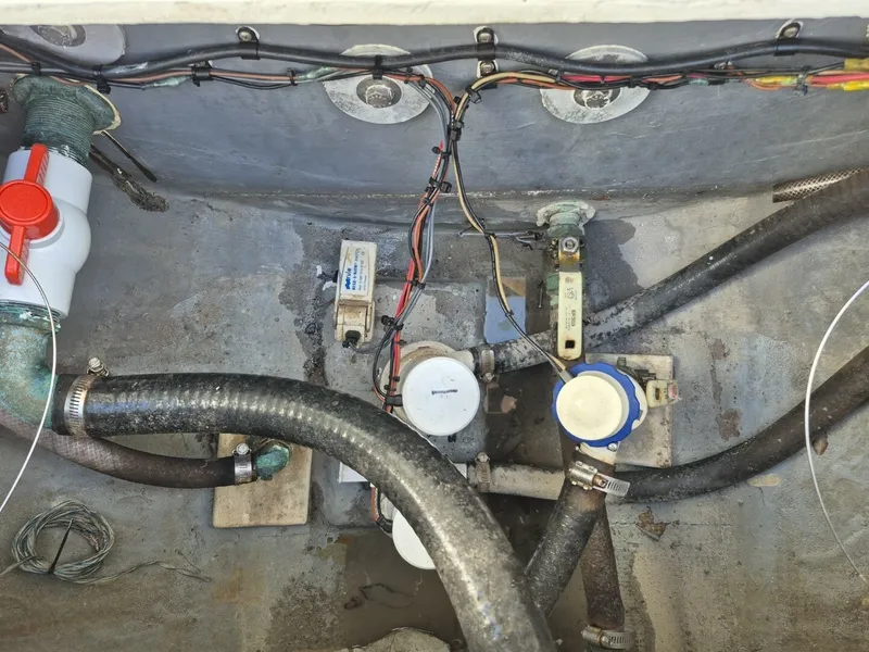 Slide: The Image of Mako 26 1987 - 6017626