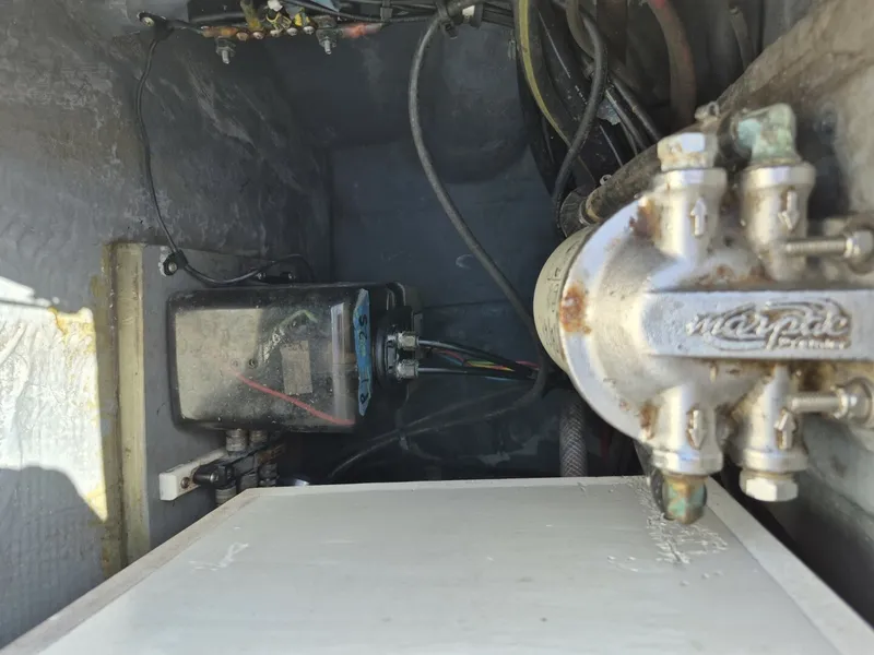 Slide: The Image of Mako 26 1987 - 6017629