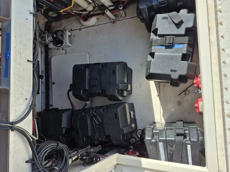 Slide: The Image of Mako 26 1987 - 6017640