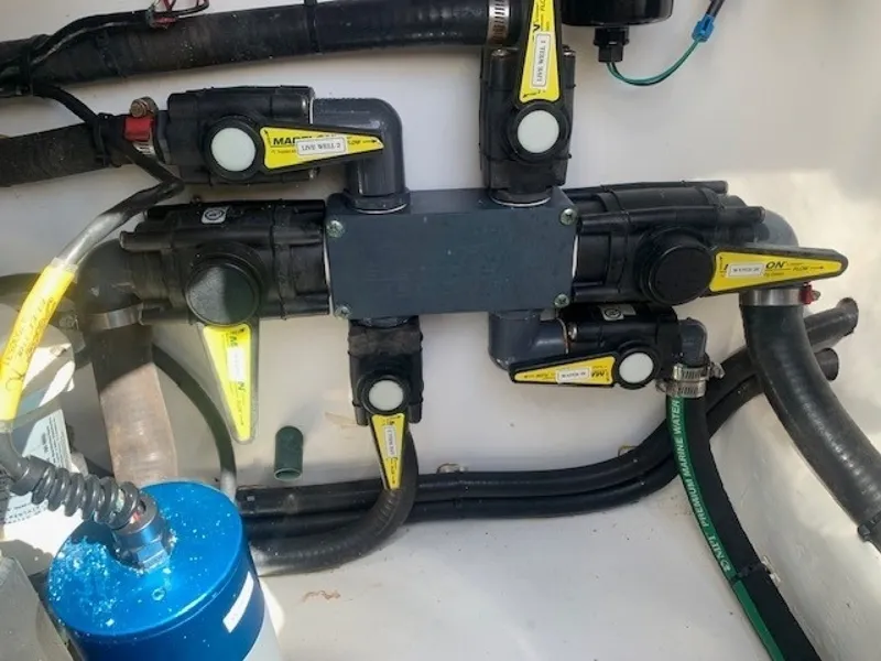 Slide: The Image of 0005633004 - 6018332