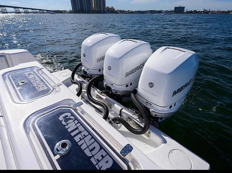 Slide: The Image of 0005627282 - 6018314