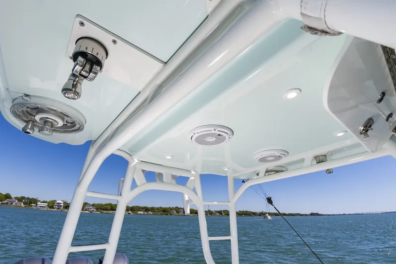 Slide: The Image of 36Yellowfin2015_017 - 6059367