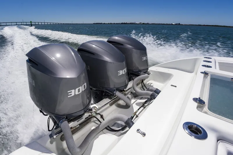 Slide: The Image of 36Yellowfin2015_026 - 6059376