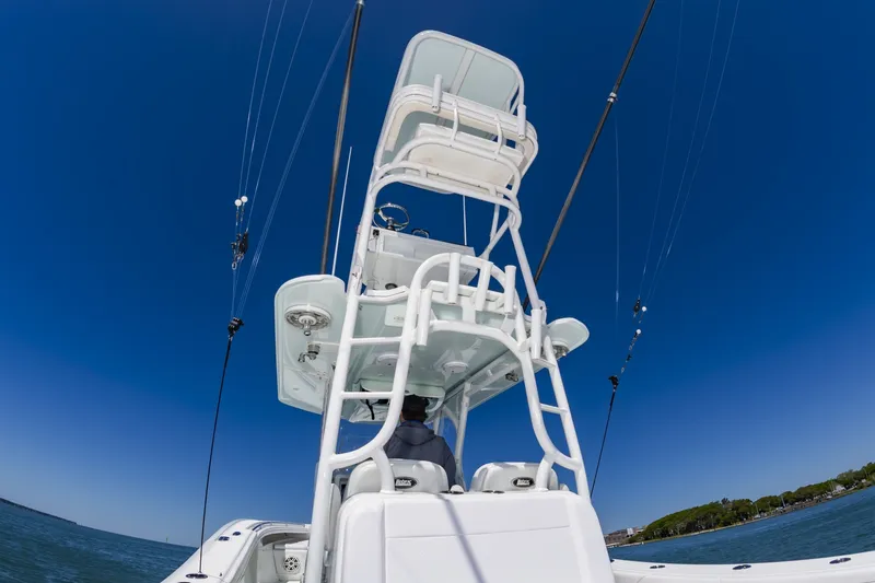 Slide: The Image of 36Yellowfin2015_029 - 6059379