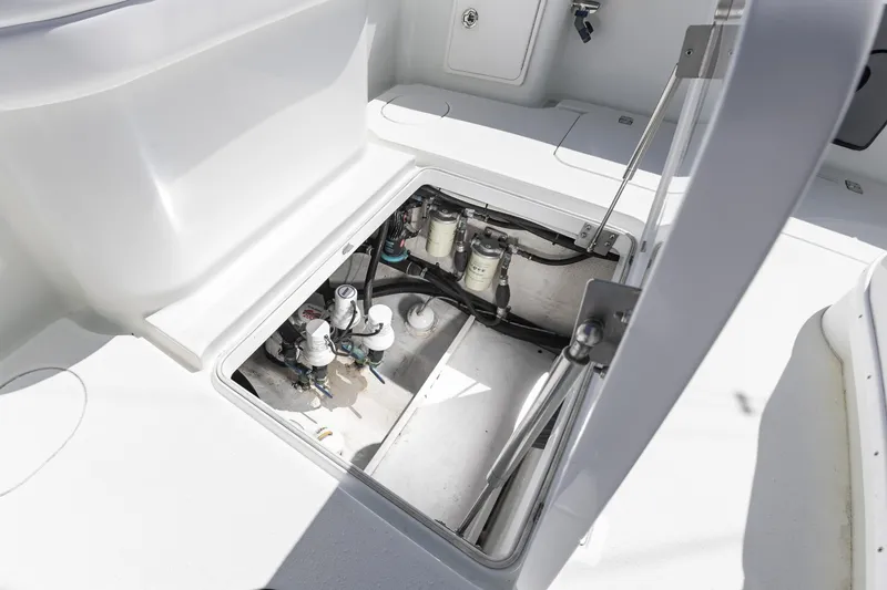 Slide: The Image of 36Yellowfin2015_043 - 6059465