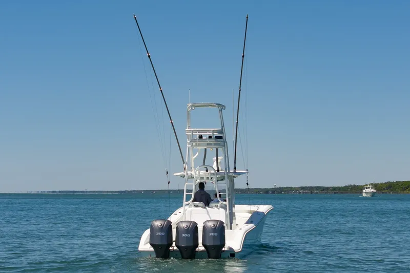 Slide: The Image of 36Yellowfin2015_045 - 6059467