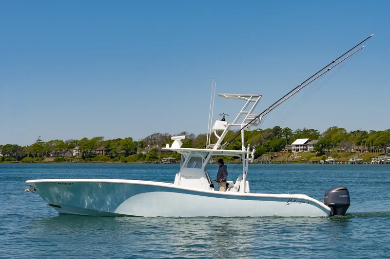 Slide: The Image of 36Yellowfin2015_056 - 6059478