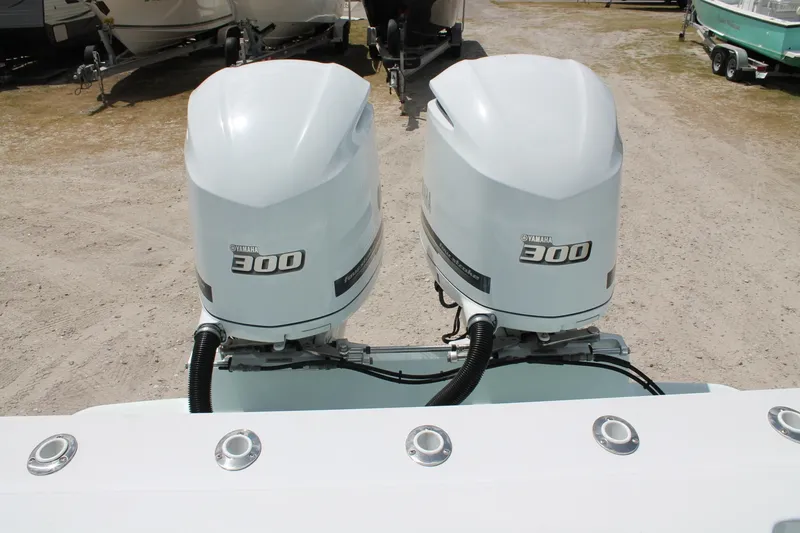 Slide: The Image of Stamas Americana 2015 - 6019605