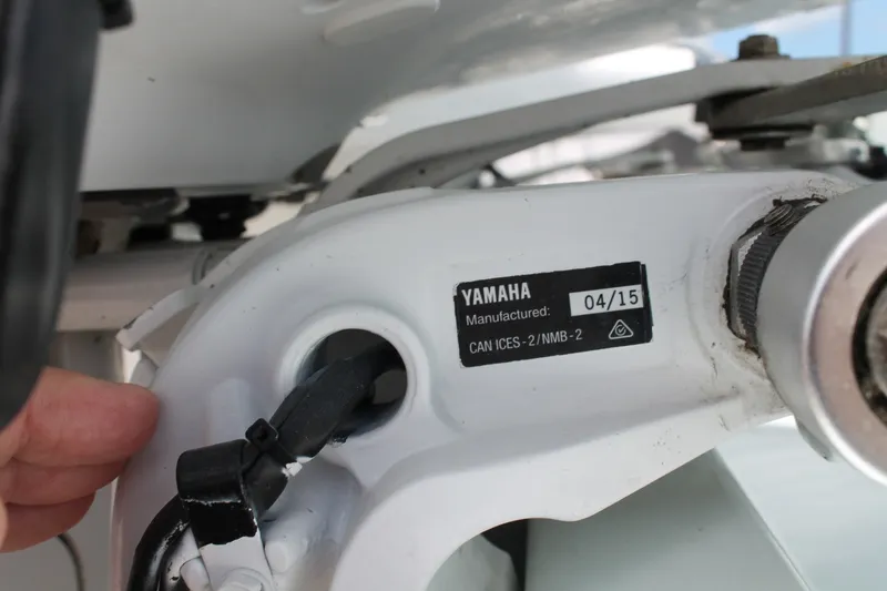 Slide: The Image of Stamas Americana 2015 - 6019606