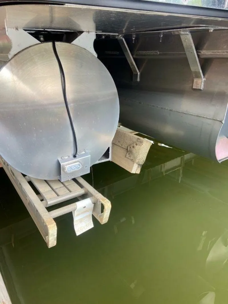 Slide: The Image of Harris 25 2023 - 6019644