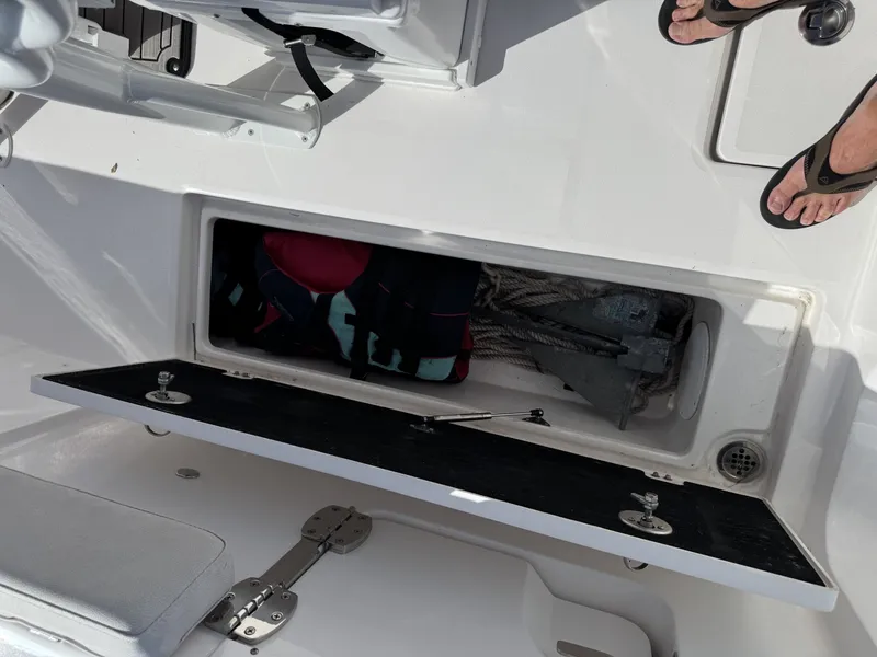 Slide: The Image of Sea Fox 268 2023 - 6019748