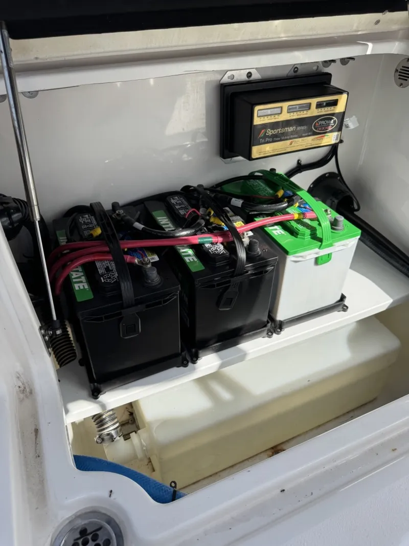 Slide: The Image of Sea Fox 268 2023 - 6019749